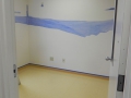 1-cattery-playroom-first-paint-2